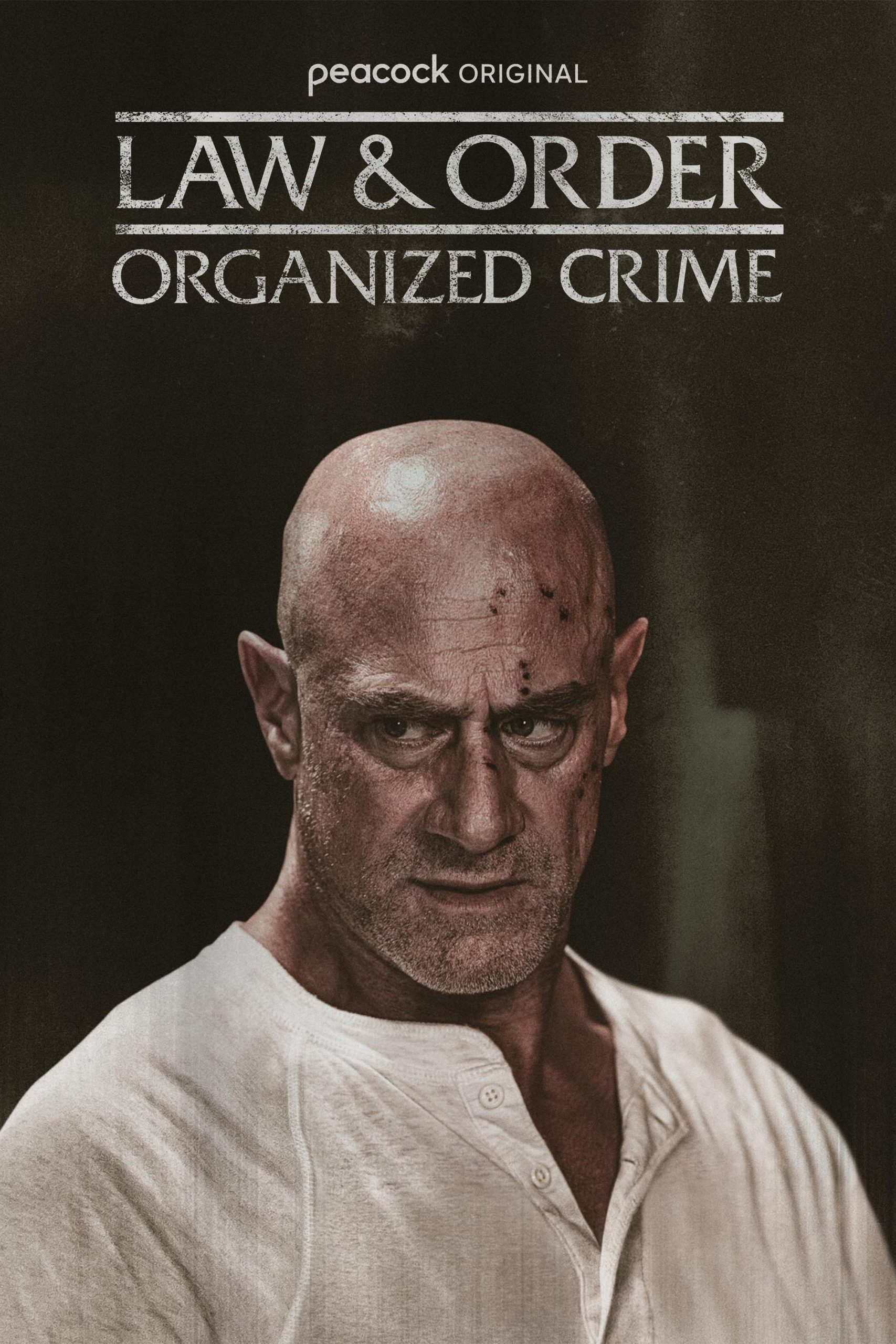  مسلسل Law & Order: Organized Crime موسم 5 حلقة 3